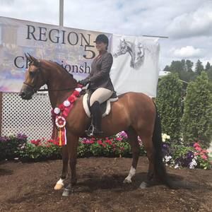 Meet your Posher, Hailee